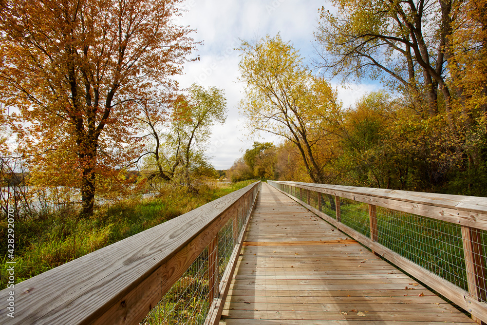 Walking trail on a wood bridge that seems to go forever over the wetlands in autumn