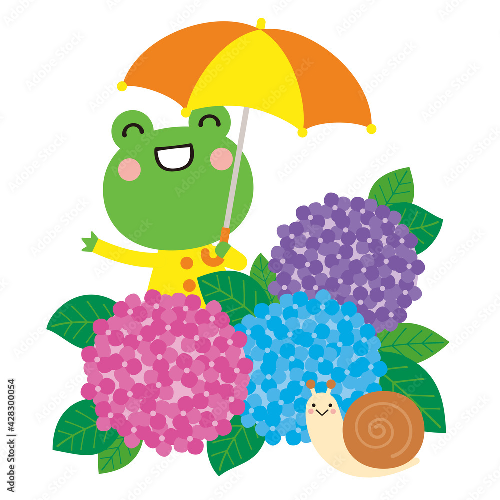 傘を差したカエルと紫陽花とカタツムリ 梅雨の季節のイラスト Stock Vector Adobe Stock