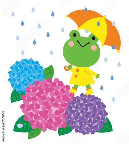 傘を差したカエルと紫陽花 梅雨の季節のイラスト