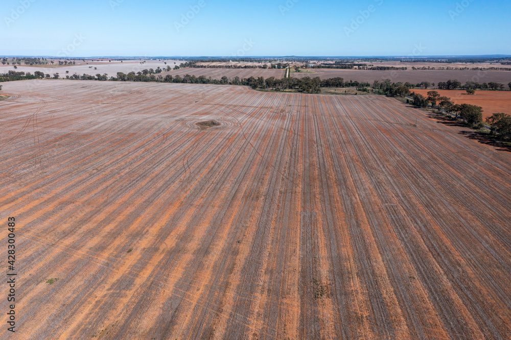 Naklejka premium Drone aerial photograph of burnt agricultural fields