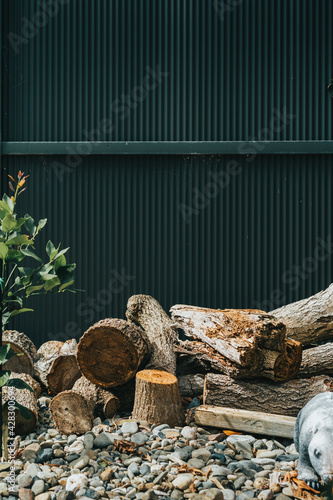 Pile of firewood sitting in front of colorbond fence photo