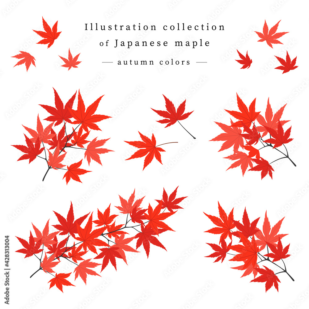 紅葉したモミジの枝葉 イラストセット 紅葉したモミジの枝葉 イラストセット