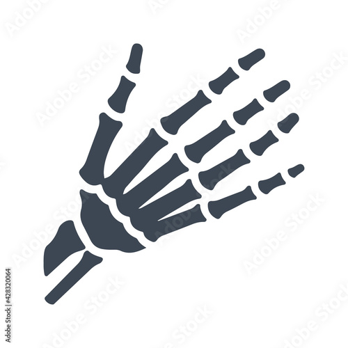 Osteology, hand Skeleton icon, vector & glyph
