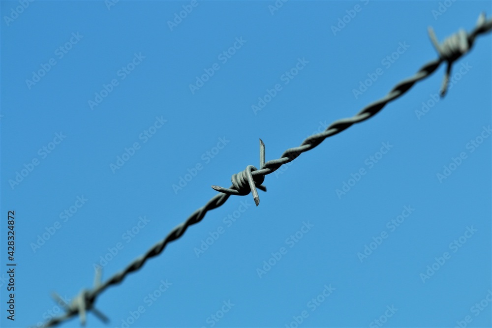 Barbed wire in front of blue sky Barbed wire in front of blue sky