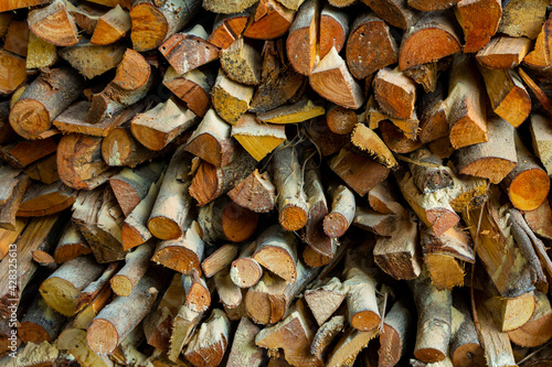 Firewood cut into pieces arranged in a row.