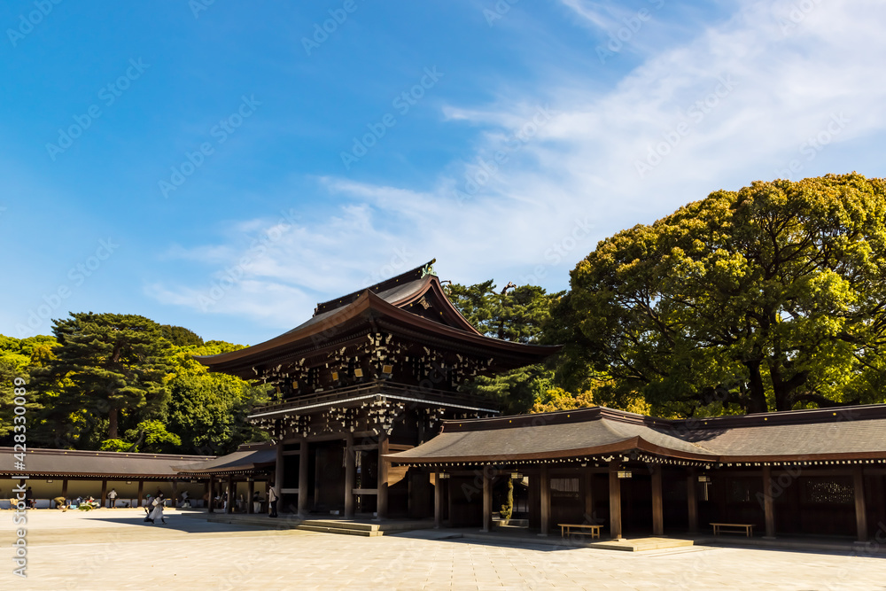 (東京都ｰ都市風景)青空の明治神宮南神門風景４