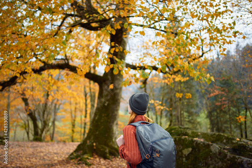 traveler with a backpack resting in the autumn forest in nature near the trees