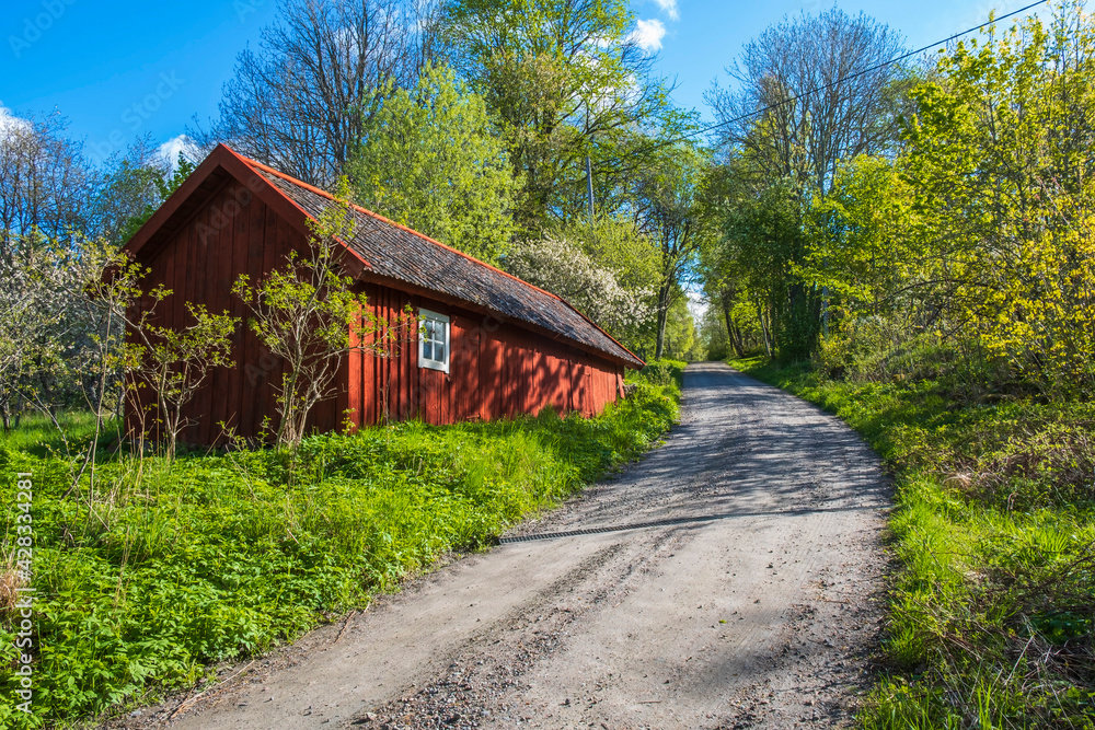 Idyllic red barn at dirt road at springtime
