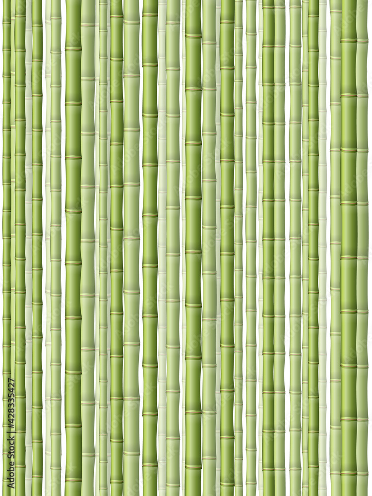Bamboo background Bamboo background