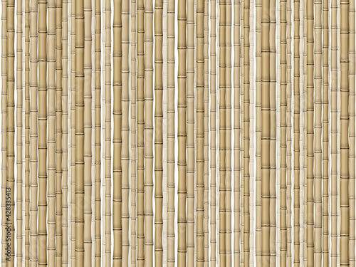 Bamboo background