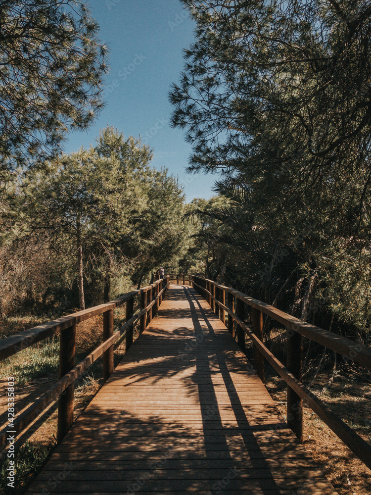 Empty wooden road in Mediterranean park toned image, perspective Empty wooden road in Mediterranean park toned image, perspective