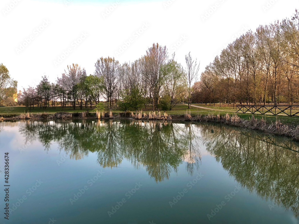 Riflesso Riflesso