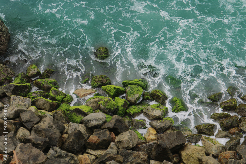 Top view of the rocky shore. Stones overgrown with bright green moss and sea waves. Top view of the rocky shore. Stones overgrown with bright green moss and sea waves.