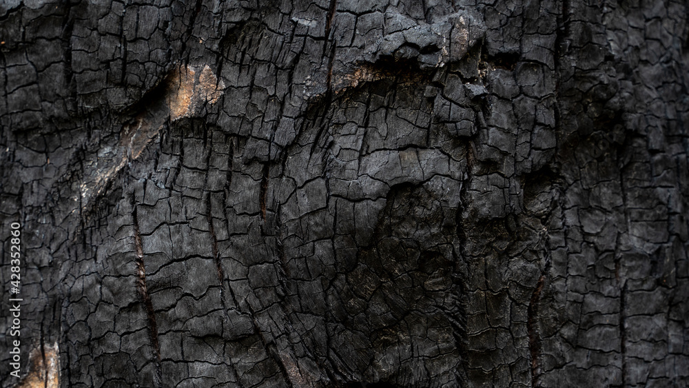 Burned wood texture. Black background, Details on the surface of ...