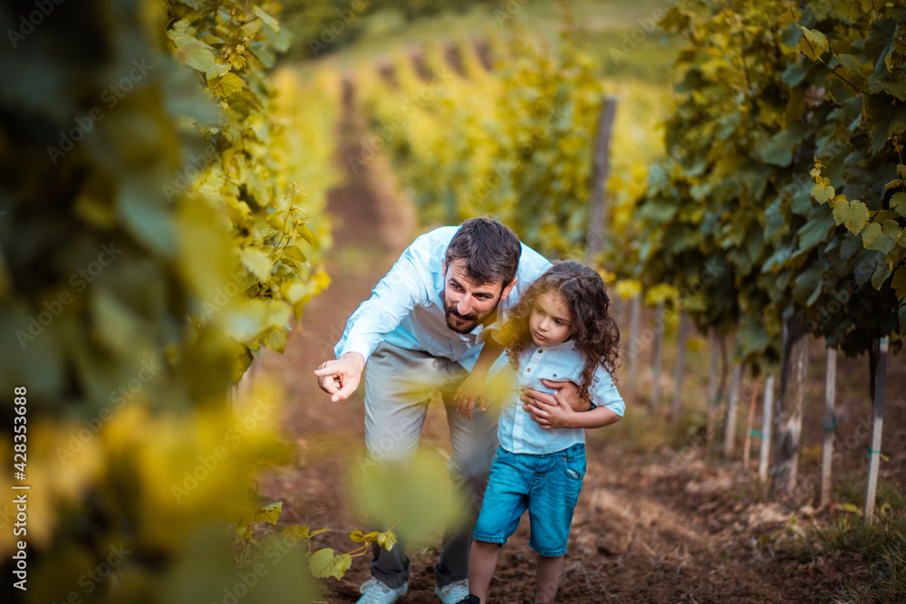 Fototapeta premium Father and son in the vineyard.