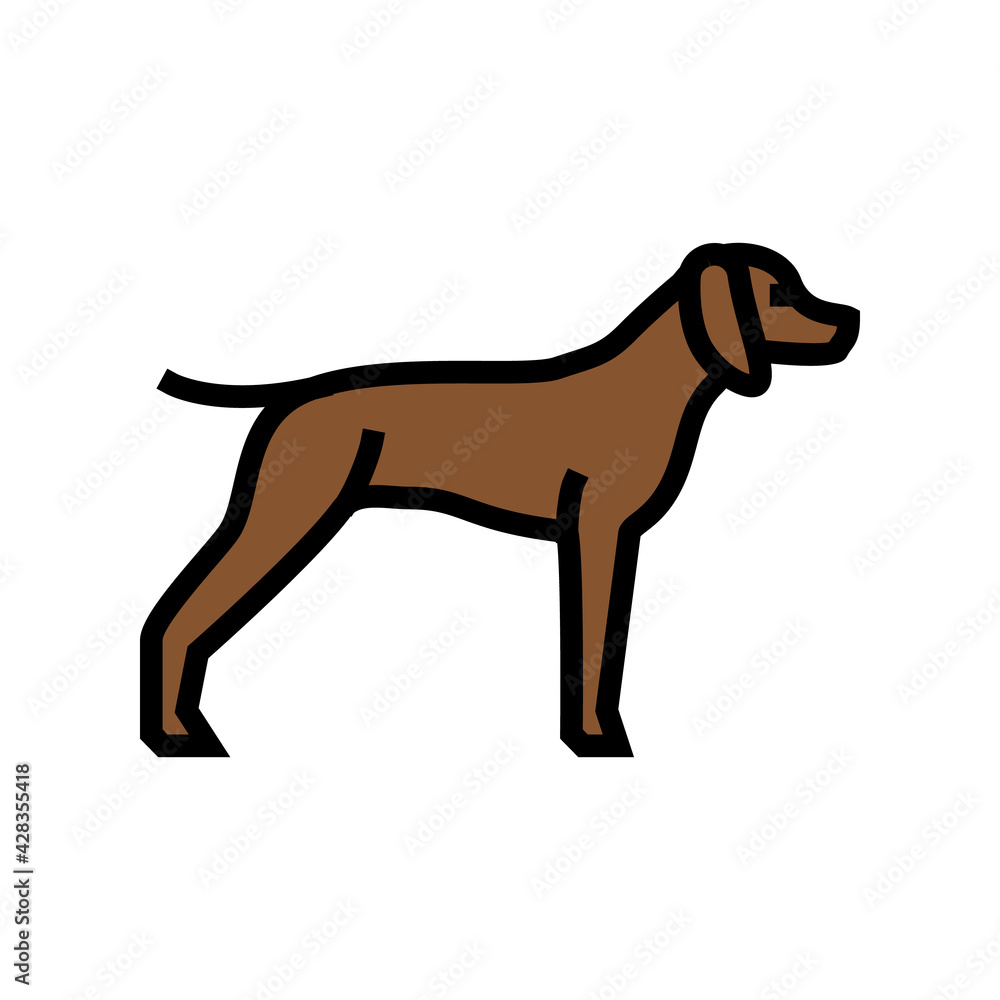 german shrothaired pointer dog color icon vector. german shrothaired pointer dog sign. isolated symbol illustration