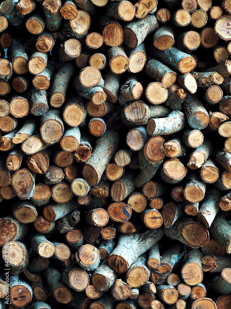 firewood on wall spare for winter and for kitchen work firewood on wall spare for winter and for kitchen work