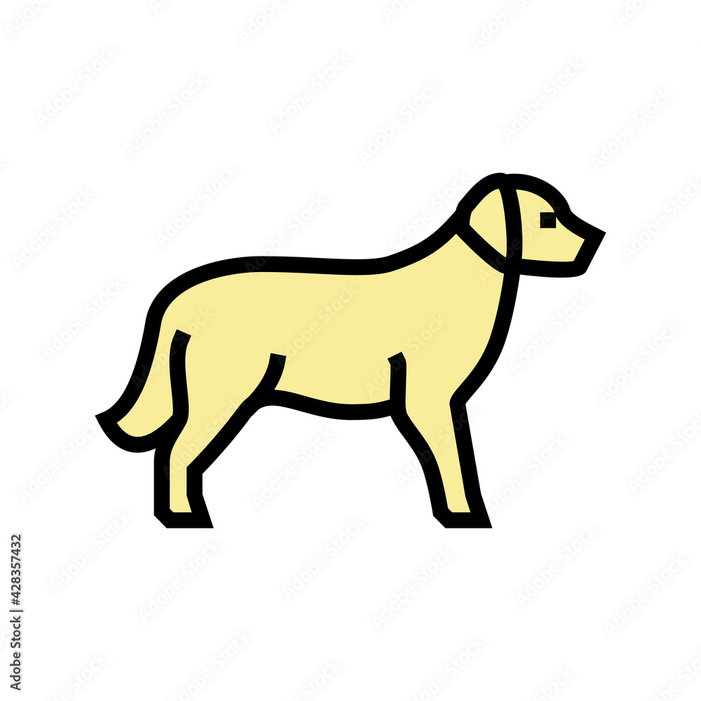 golden retriever dog color icon vector. golden retriever dog sign. isolated symbol illustration