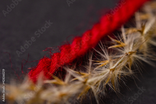 close up of red thread