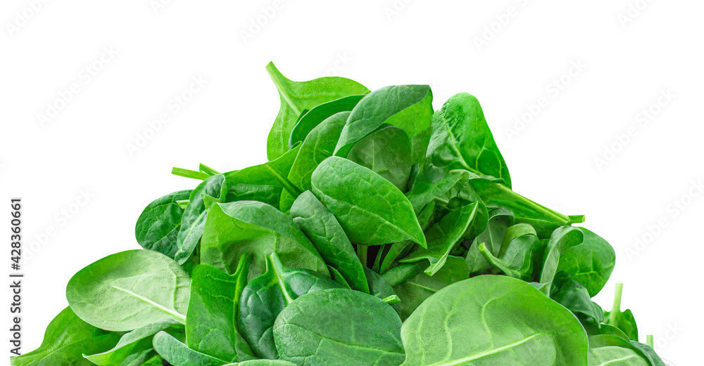Obraz premium Spinach leaves isolated on white background. Green spinach Boarder or frame, close up.