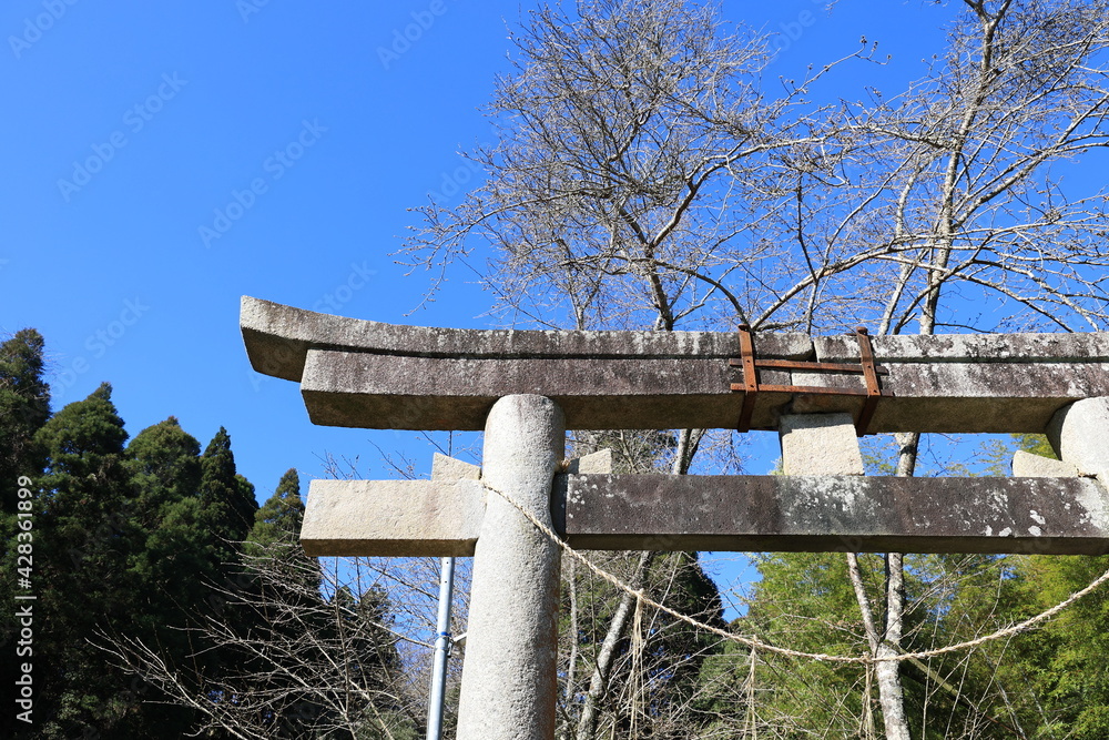 矢口神社 矢口神社