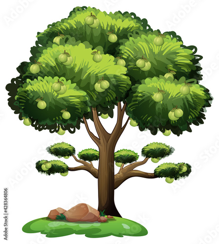 Guava fruit tree in cartoon style isolated on white background