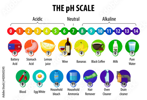 The pH Scale diagram on white background