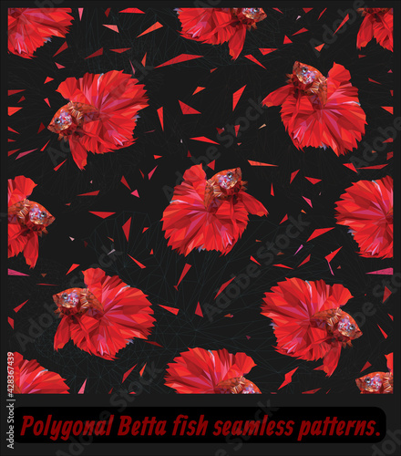 Seamless patterns  Siamese fighting fish.