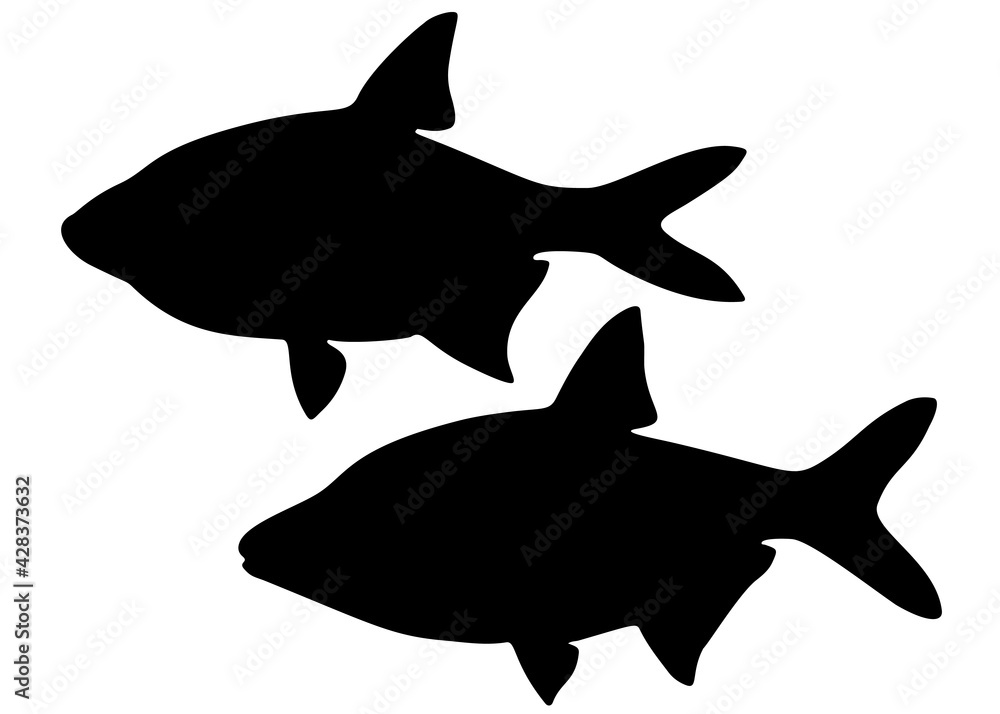 Bream river fish in the set. Vector image. Bream river fish in the set. Vector image.