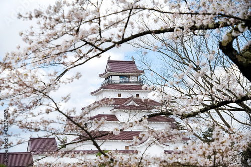 満開の桜と会津若松鶴ヶ城 © 藤田 昌宏