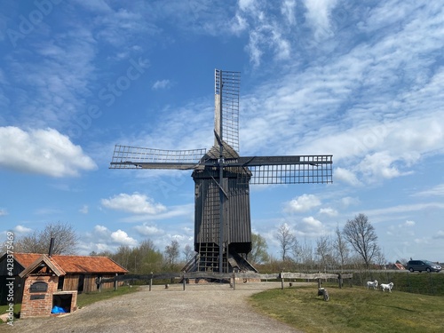 Obraz na płótnie windmill in the country w salonie