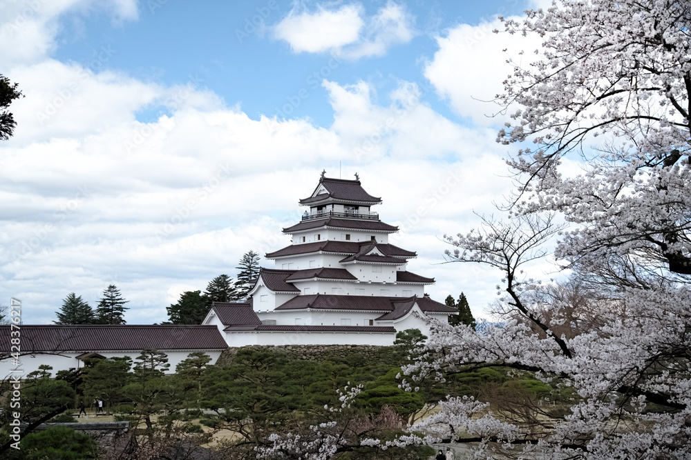 満開の桜と会津若松鶴ヶ城