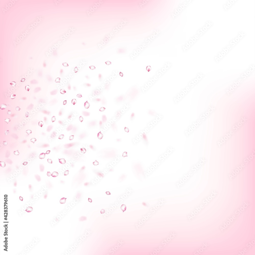 Cherry Sakura Blossom Confetti. Windy Leaves Confetti Frame. Falling Cherry Sakura Blossom Confetti. Windy Leaves Confetti Frame. Falling