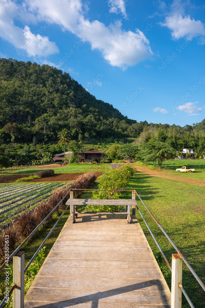 Benches overlooking the mountains on the farm at Rai Napa - Phupha, Chiang Mai, Thailand.