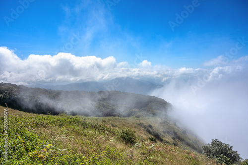 Foggy morning in mountains at Kew Mae Pan  Doi Inthanon National Park  Chiang mai.