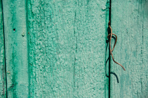 Wood texture, background with copy space. Old wooden barn green or emerald