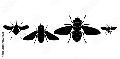 Vector collection of 4 insects silhouettes. Bombyliidae, horsefly, botfly, drain fly. Minimal graphic illustration.