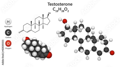 Molecular structure of Testosterone - steroid hormone from the androgen group. C19H28O2. Ball and Stick + Space-Filling chemical structure model. 3D render. Seamless loop. White background.
