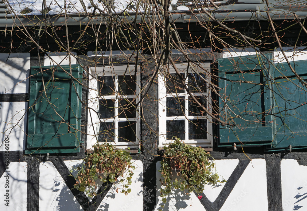 Close-up of a window with green shutters of a traditional framed house with windows boxes in Hilden, Germany, Europe
Close-up of a window with green shutters of a traditional framed house with windows boxes in Hilden, Germany, Europe