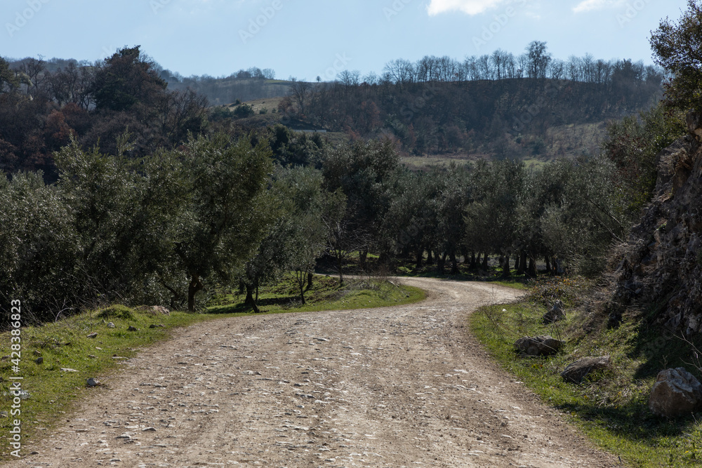 road through the olive groves and countryside of Iznik, Turkey
