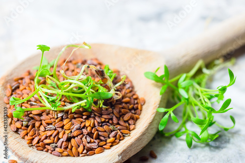 Cress, Lepidium sativum, garden cress, seeds on a wooden spoon and green leaves