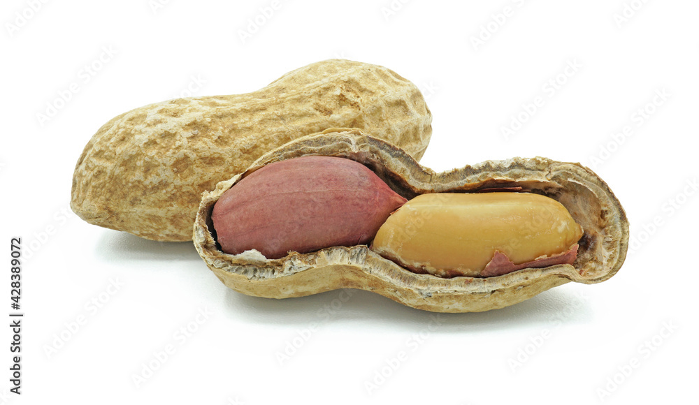 Dried peanut peeled, Monkey nut, Groundnut, Isolated on white background, Cut out with clipping path, Close up Dried peanut peeled, Monkey nut, Groundnut, Isolated on white background, Cut out with clipping path, Close up