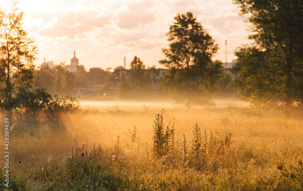 Yellow sunrise in morning forest nature view. The sun's rays penetrate through the trees and morning fog. Yellow sunrise in morning forest nature view. The sun's rays penetrate through the trees and morning fog.