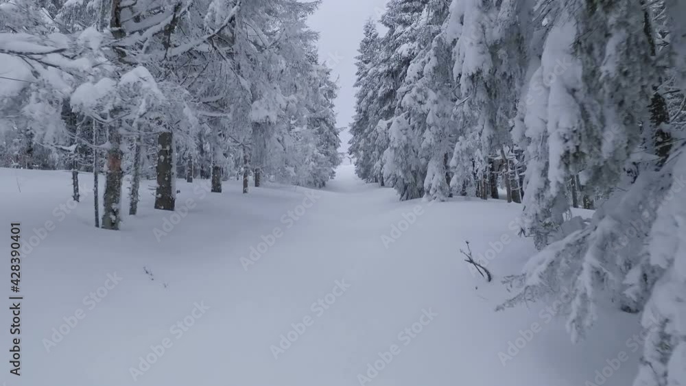 Aerial view of a fabulous winter mountain landscape close-up. Smooth and maneuverable flight between snow-covered trees. Filmed on FPV drone. Slow motion Aerial view of a fabulous winter mountain landscape close-up. Smooth and maneuverable flight between snow-covered trees. Filmed on FPV drone. Slow motion
