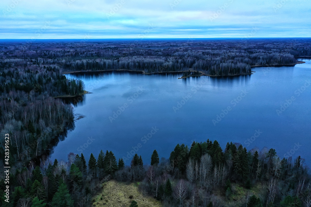 river autumn view from drone forest, landscape panorama aerial view