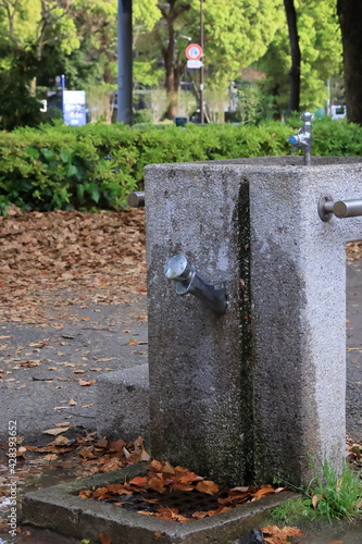 公園の手洗い水道 © Chizu