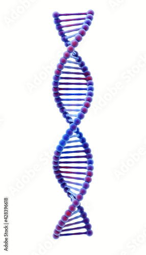 3D illustration DNA structure isolated background.