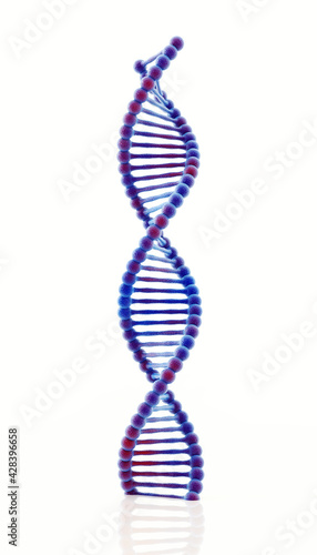 3D illustration DNA structure isolated background.