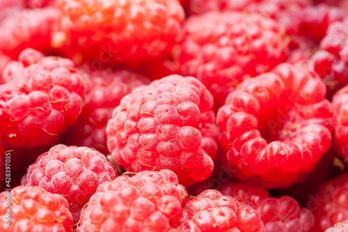 sweet raspberry fruit