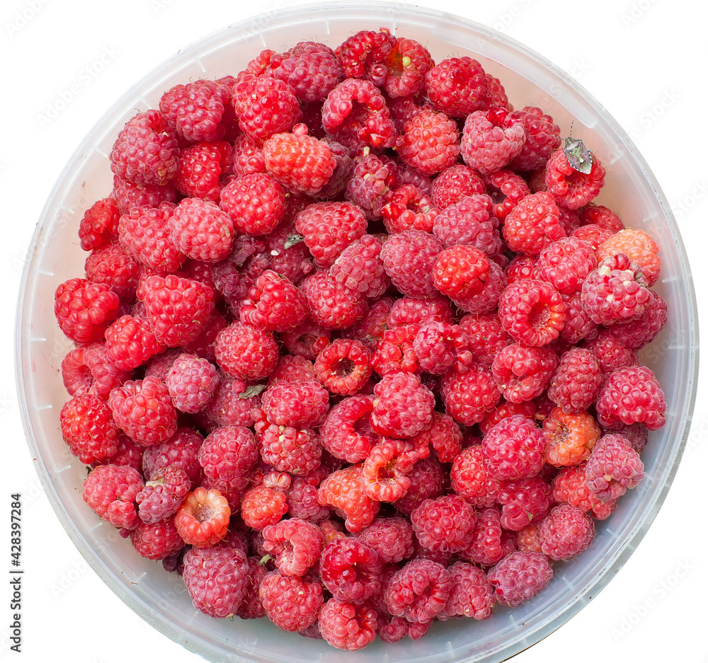 sweet raspberry fruit sweet raspberry fruit